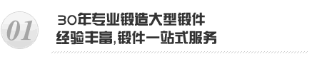 永鑫生锻造